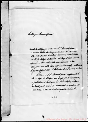 Fotogramma D 11