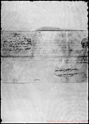 Fotogramma C 1