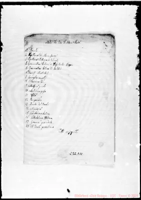 Fotogramma D 11