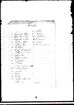 Fotogramma C 1
