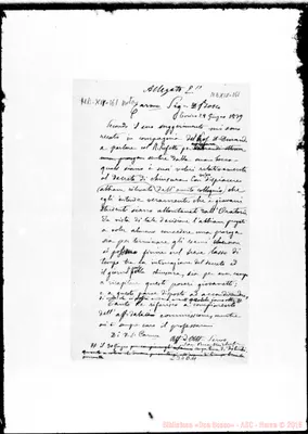 Fotogramma E 11