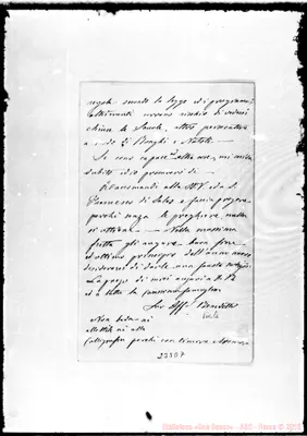Fotogramma D 7