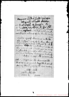 Fotogramma D 9