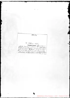 Fotogramma B 1