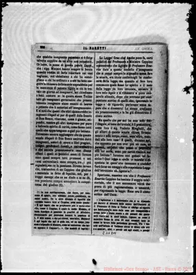 Fotogramma D 11