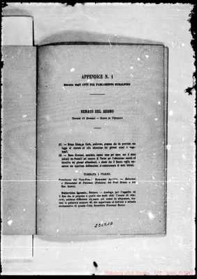 Fotogramma E 12