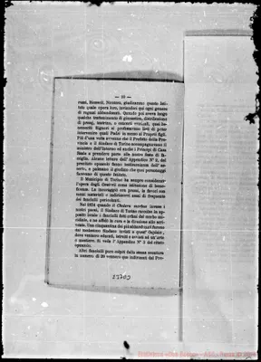 Fotogramma D 3