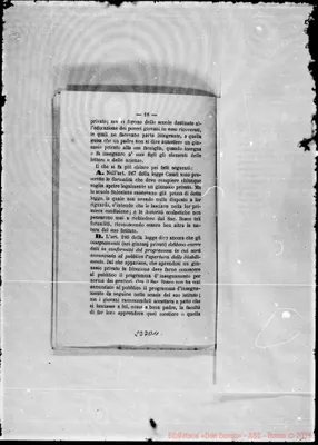 Fotogramma D 11