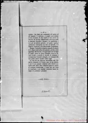 Fotogramma D 12