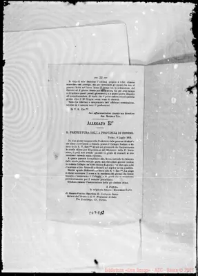 Fotogramma E 12