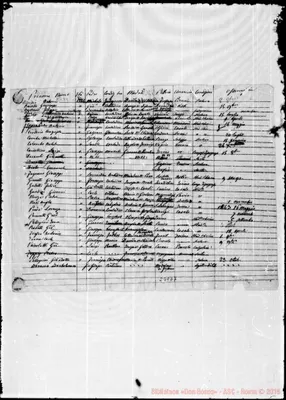 Fotogramma E 7