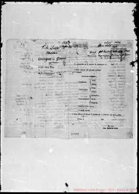 Fotogramma E 8