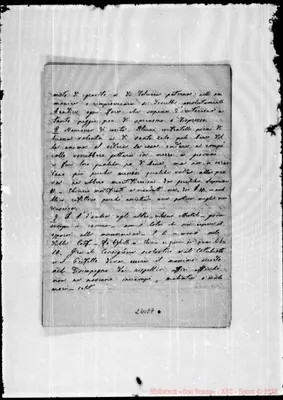 Fotogramma E 7
