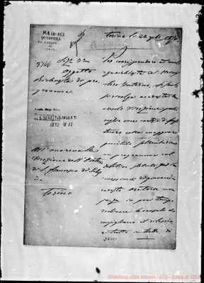 Fotogramma C 1