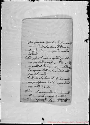 Fotogramma C 12