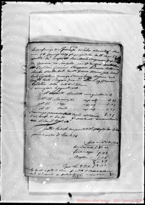 Fotogramma C 1