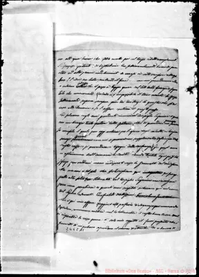 Fotogramma C 11