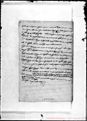 Fotogramma C 12