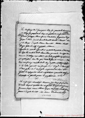 Fotogramma D 11