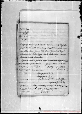 Fotogramma E 5