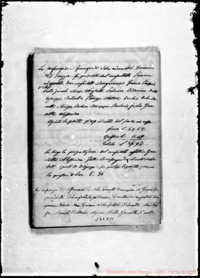 Fotogramma C 11