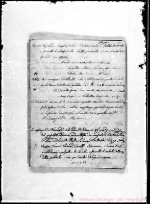 Fotogramma C 12