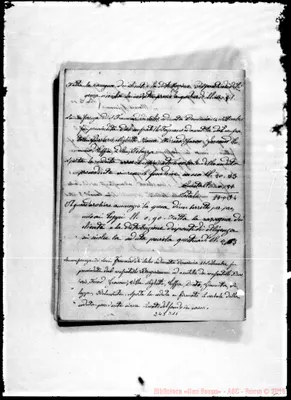 Fotogramma D 11