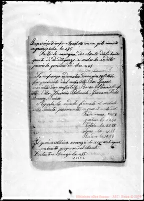 Fotogramma E 2