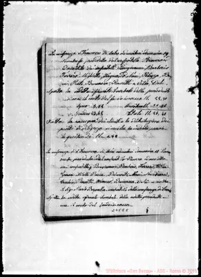 Fotogramma E 5