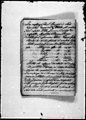 Fotogramma C 2