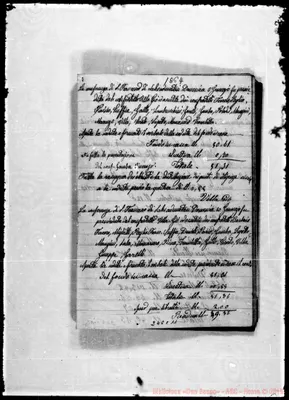 Fotogramma C 11
