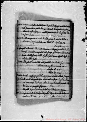 Fotogramma D 3