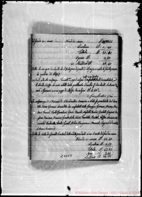 Fotogramma E 5