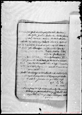 Fotogramma C 1