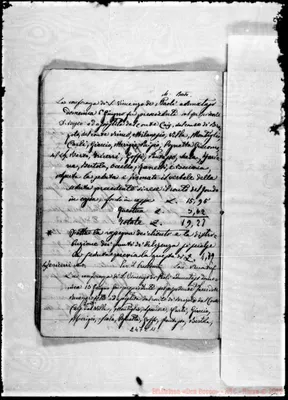 Fotogramma C 11
