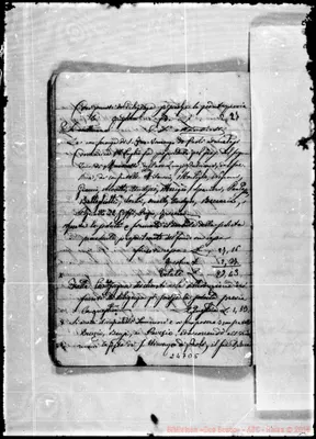 Fotogramma D 5