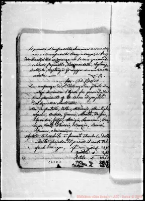 Fotogramma D 7
