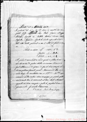 Fotogramma E 1