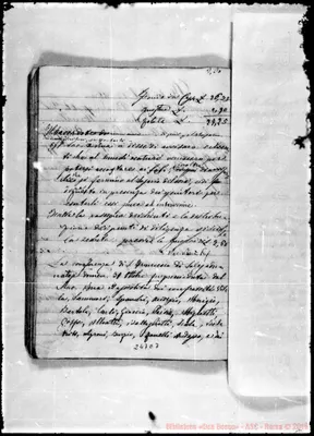 Fotogramma E 7