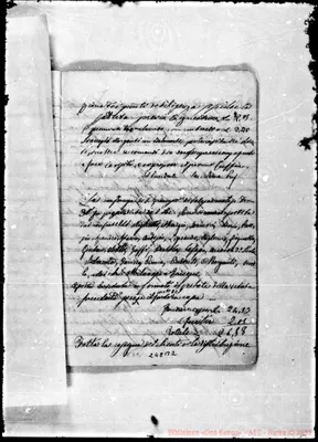 Fotogramma B 2