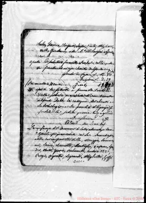 Fotogramma C 1