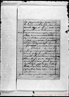 Fotogramma C 11
