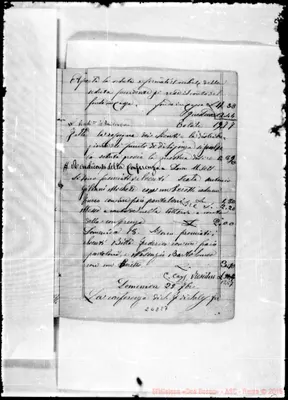 Fotogramma E 7
