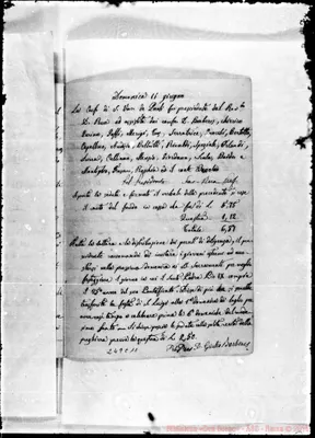 Fotogramma C 11