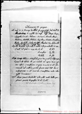 Fotogramma C 12