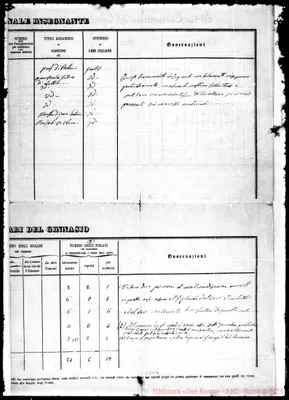 Fotogramma E 6