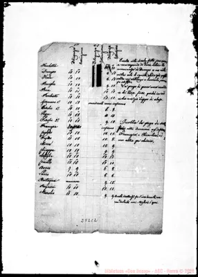Fotogramma C 2
