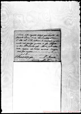 Fotogramma B 2
