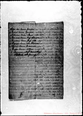 Fotogramma C 2
