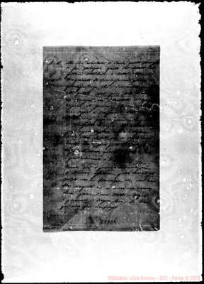 Fotogramma C 4